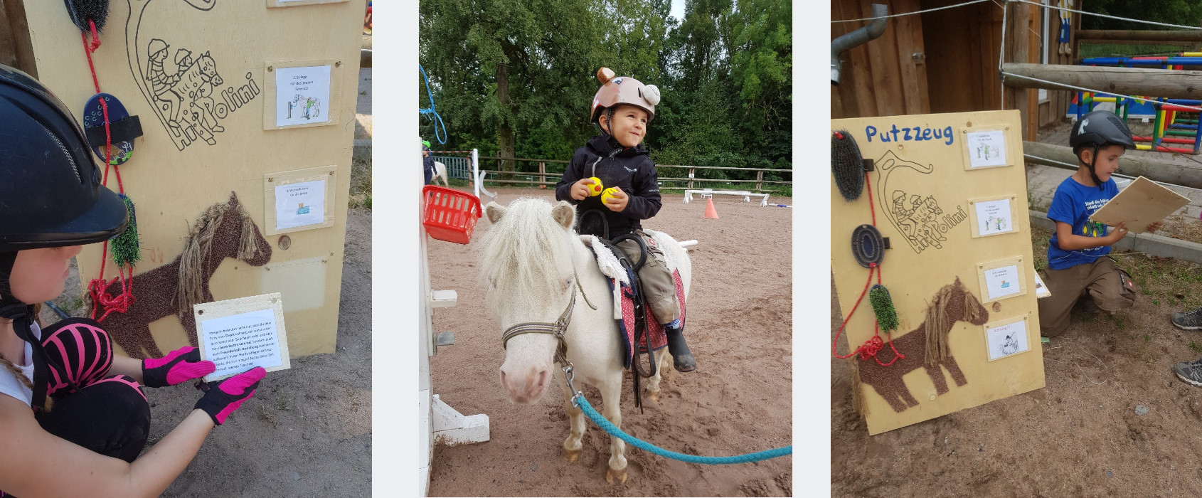 Willkommen auf dem Miniponyhof-Prall